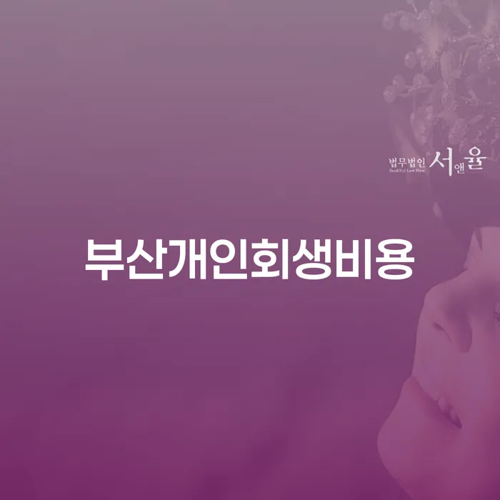 개인회생폐지 후 재신청 개인회생 문제해결방법 자세히알고