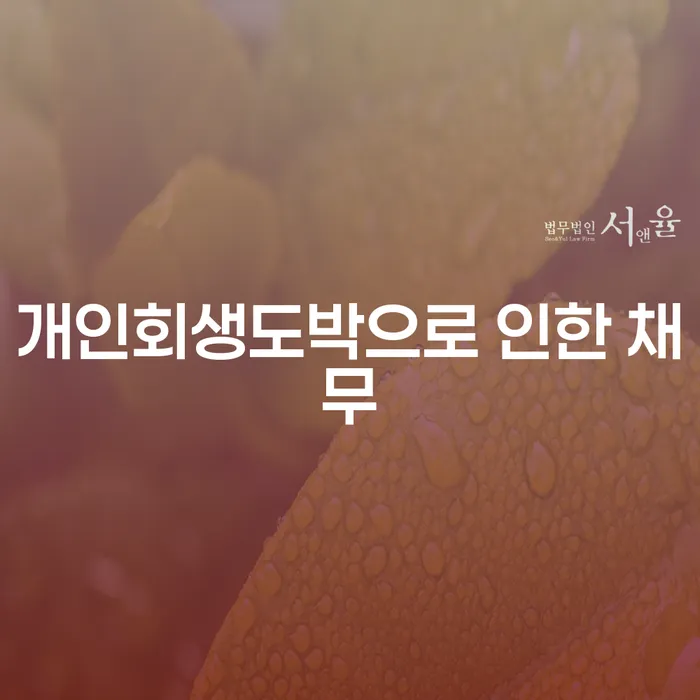 신용불량 빚갚는 방법 관련정보