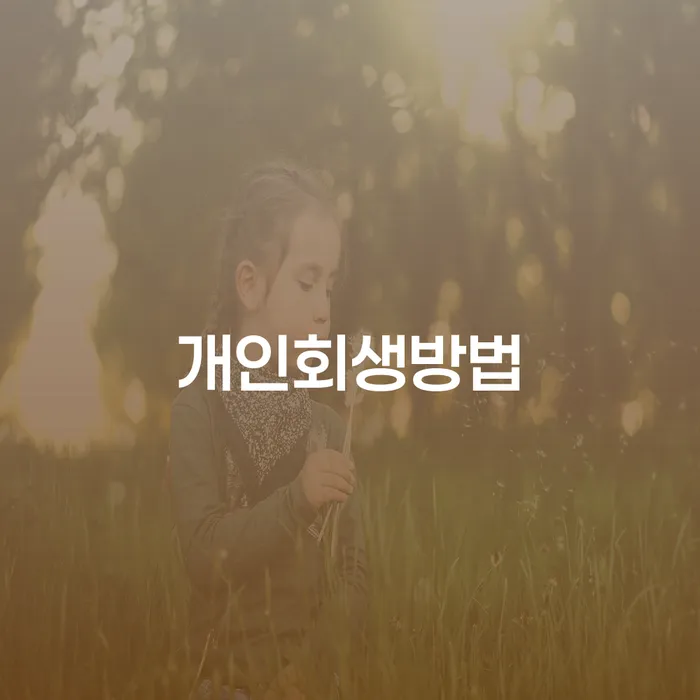 개인회생준비서류 대출 받은 돈채무조정 찾는정보들
