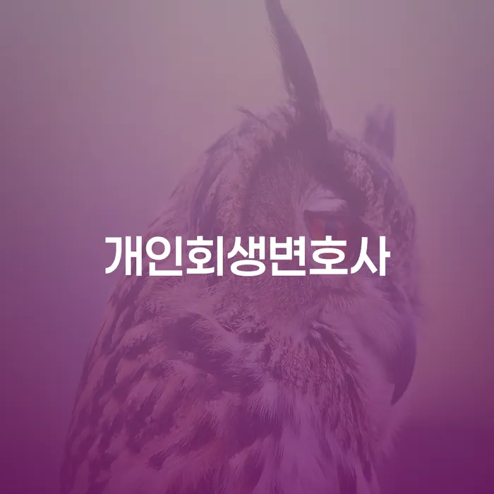 봉화군 파산신청 채무 효과적인 해결방법 알아보기