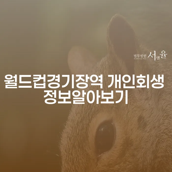월드컵경기장역 개인회생 정보알아보기
