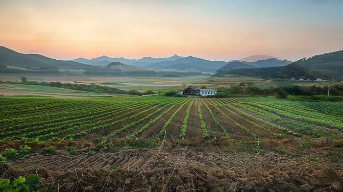 개인회생 변제금 대출 연장