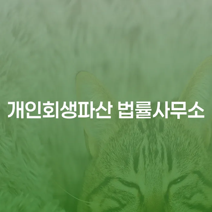 상주에서 개인회생파산 법률사무소를 찾고 계신가요?