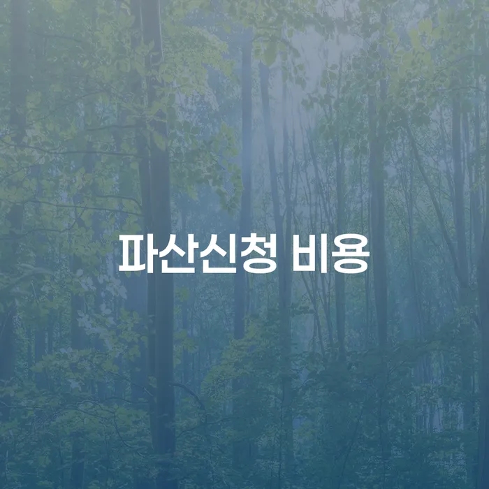 개인회생과 개인파산, 어떻게 신청하고 비용은 얼마인가요?